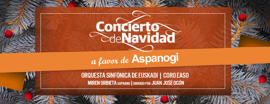 Concierto de Navidad de El Diario Vasco