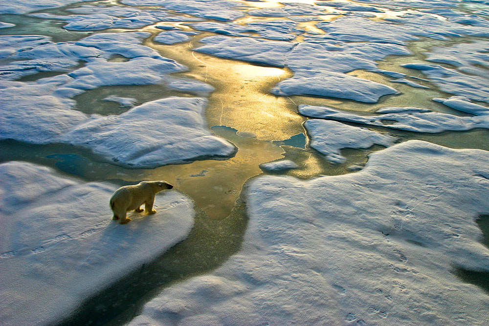 Klima Aldaketari Buruzko Goi-bilera (COP27): Aldaketa berririk?